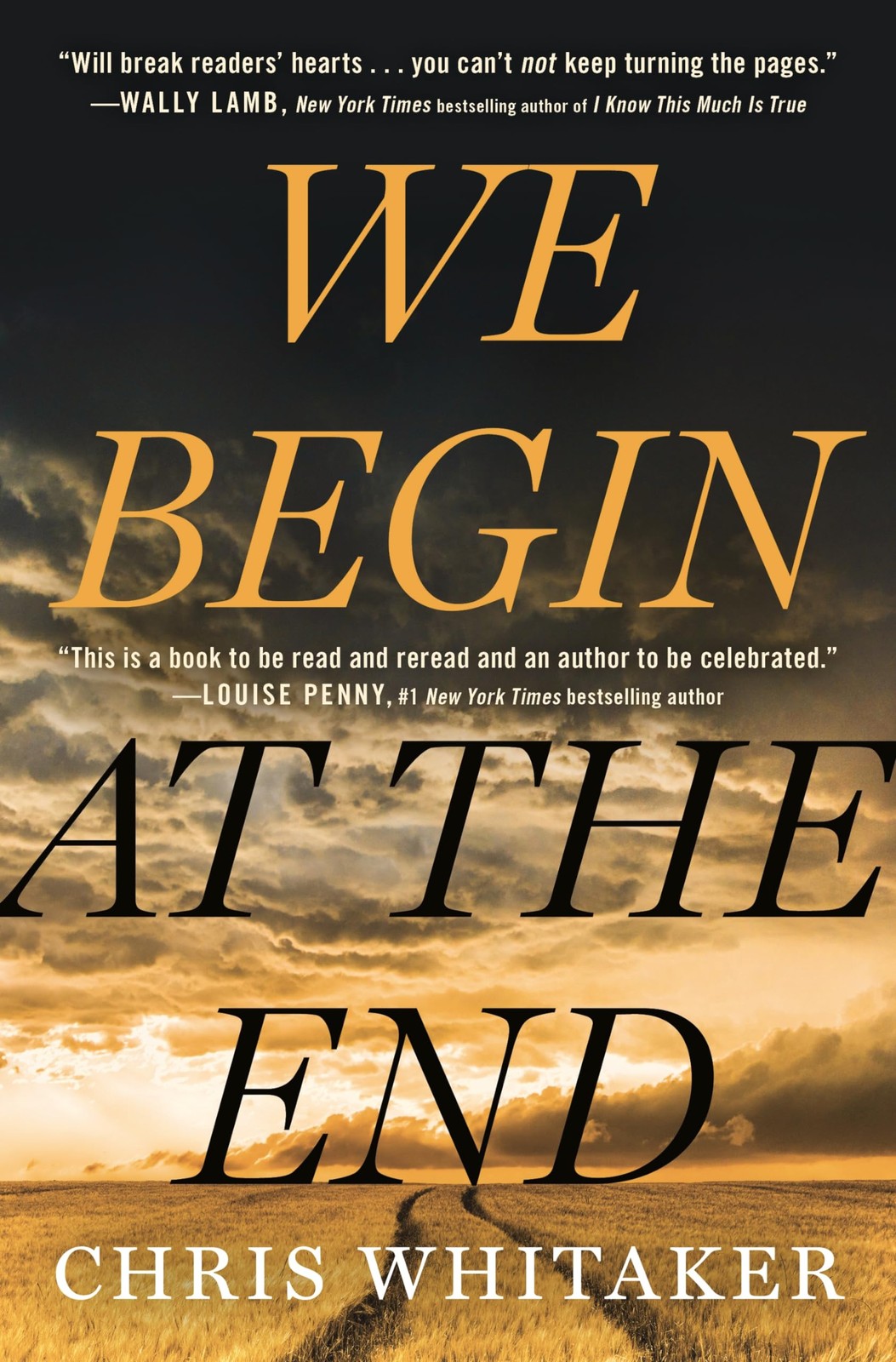 We Begin at the End (Thorndike Press Large Print Core)