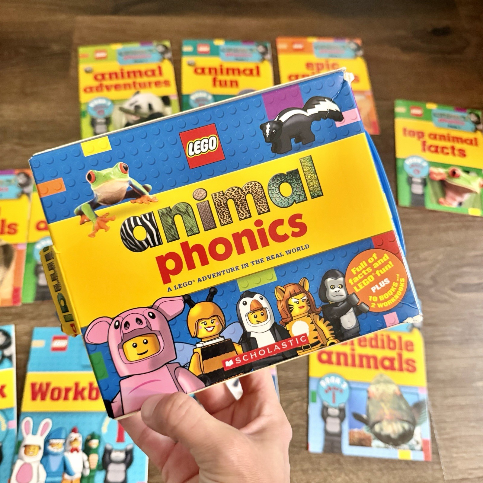 Large Lot Pre Reader & Phonics Book Lot Biscuit I Can Read LEGO Animal Phonics
