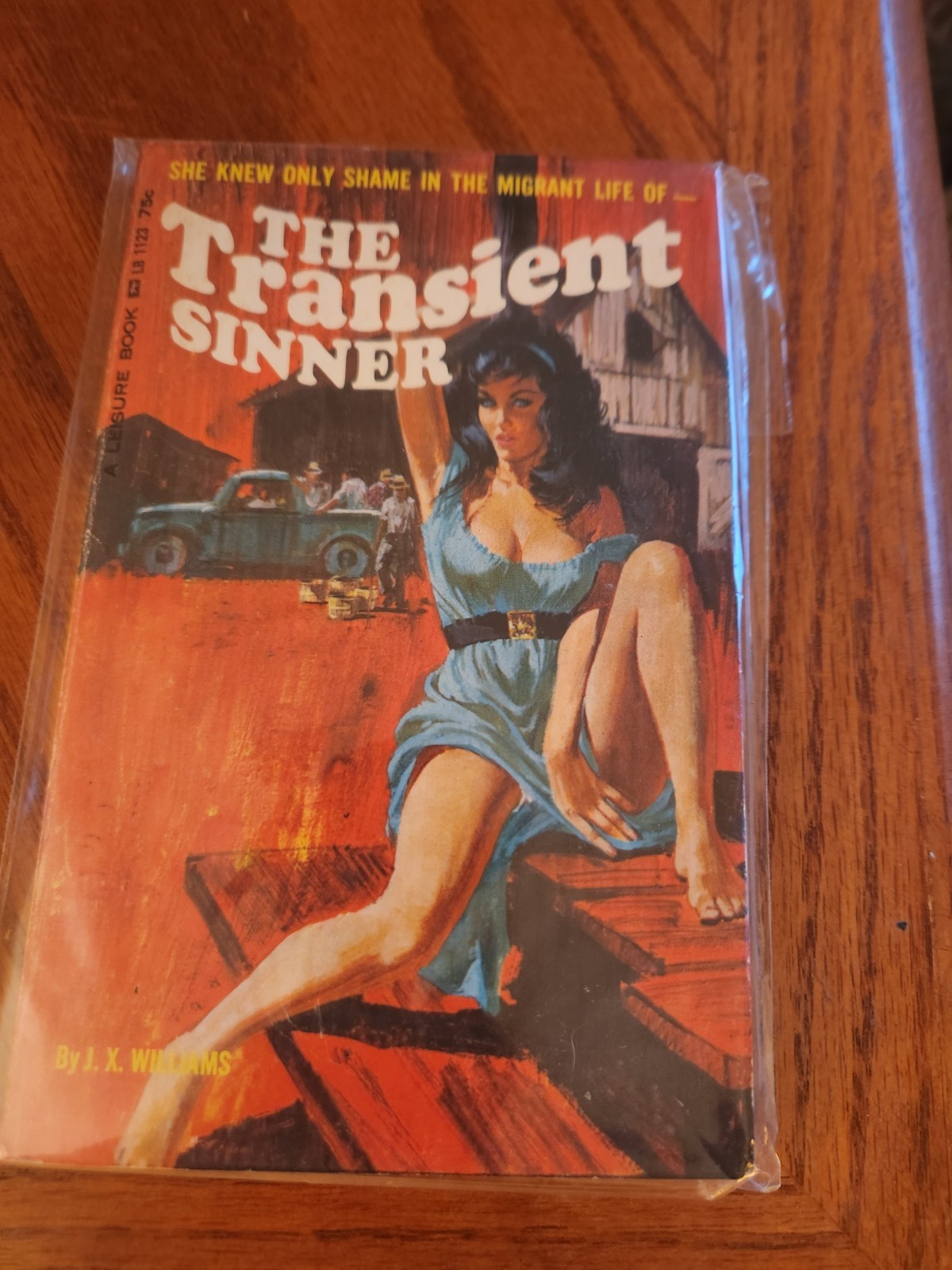 The Transient Sinner – J. X. Williams – Sure Book EB123 – Vintage Adult Paperbac
