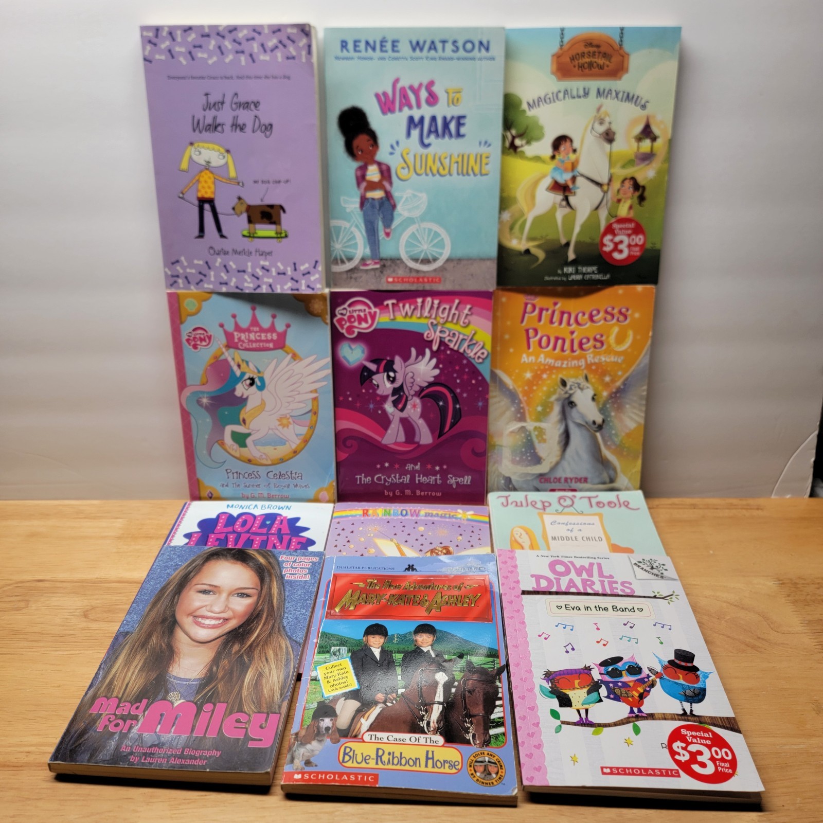 Youth Kids Book Lot 12 Books – Chapter Books – Mixed Lot – Girls