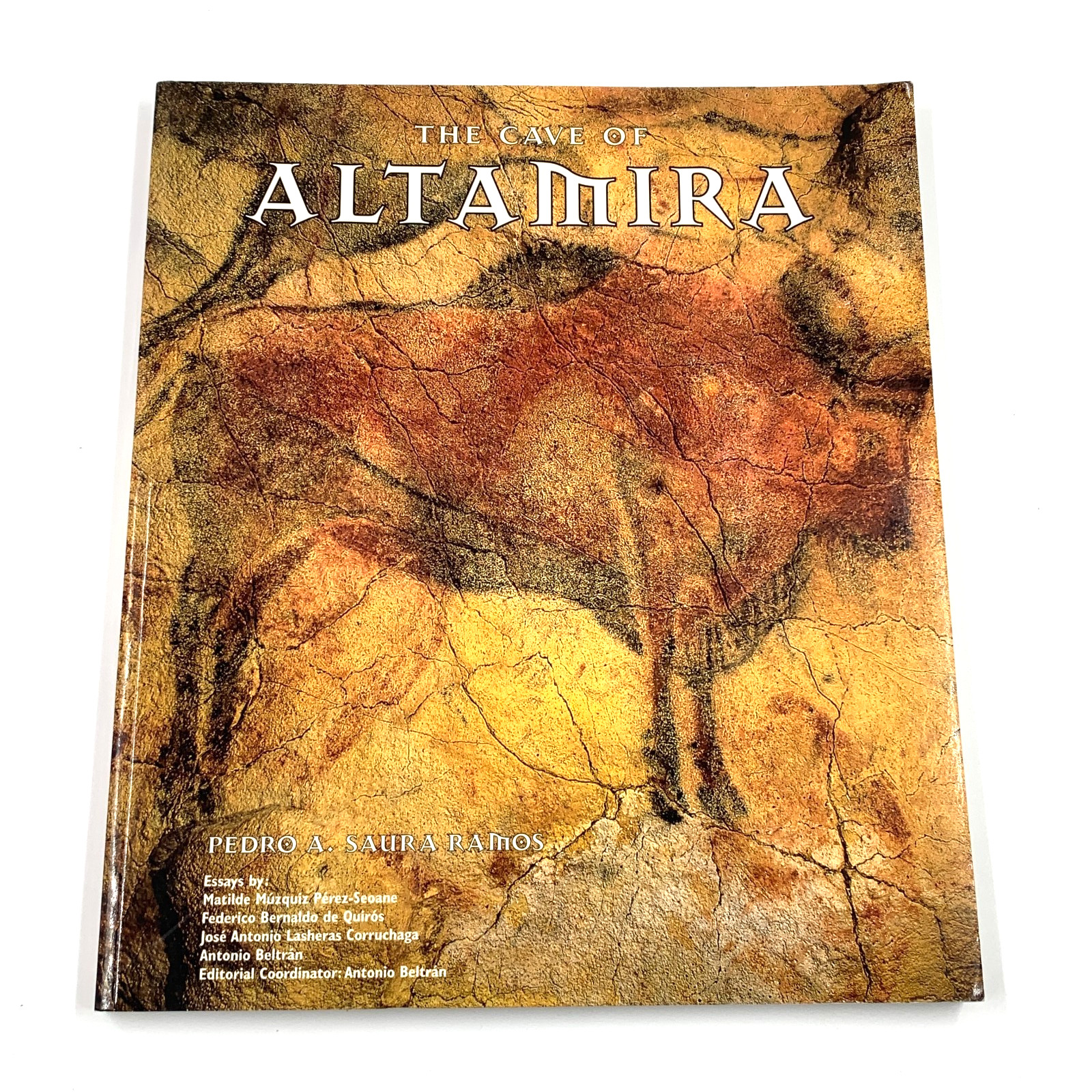 The Cave of Altamira – by Pedro A. Saura Ramos – PB 1998