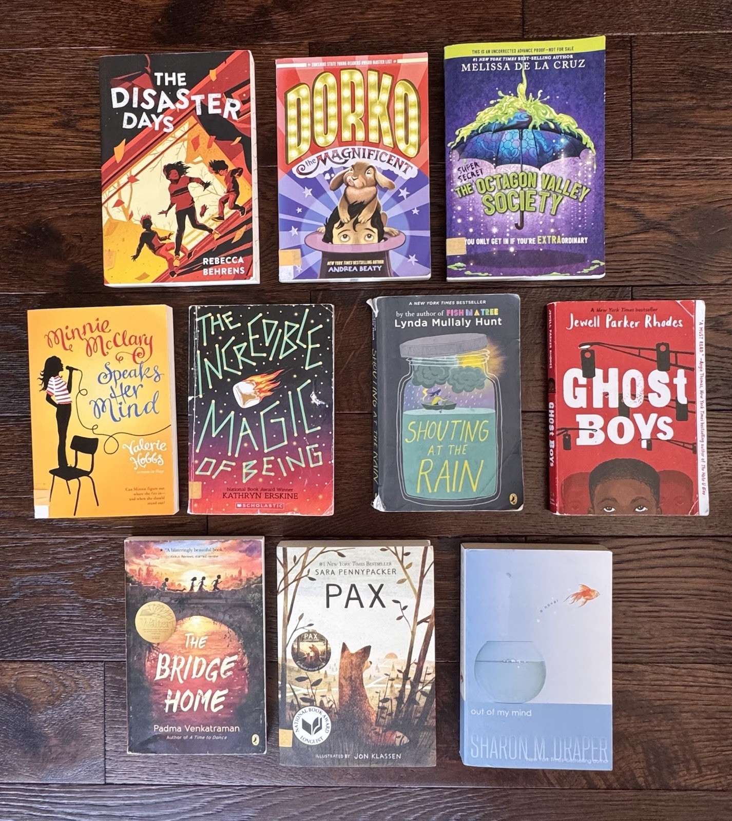 Set Of 10 Middle School Realistic Fiction Novels- Paperback Books