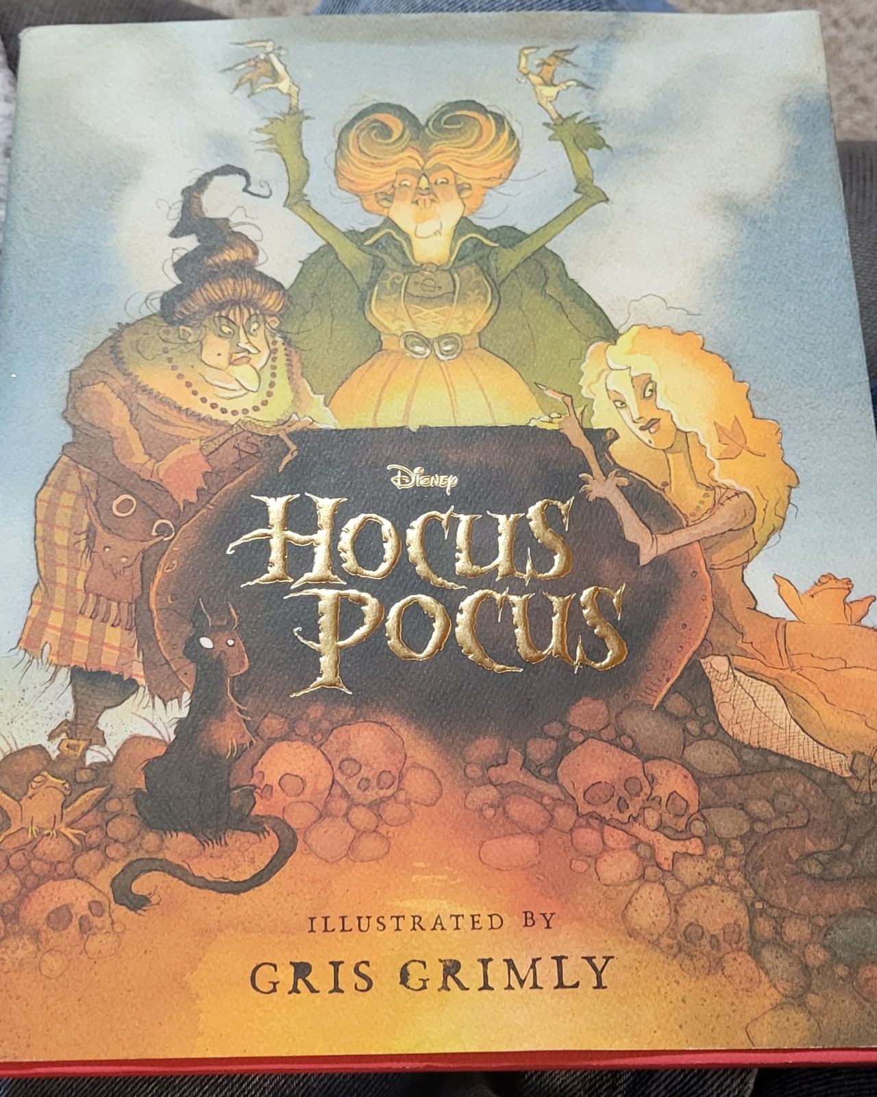 Hocus Pocus: the Illustrated Novelization by A. W. Jantha (2022, Hardcover)