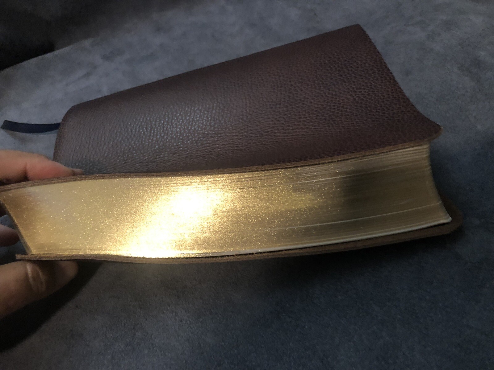 LSB Legacy Standard MacArthur Study Bible Genuine Leather Steadfast 316