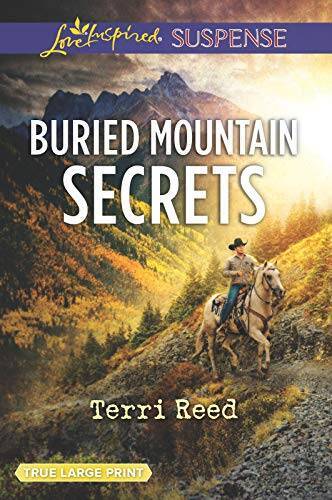 Buried Mountain Secrets – Paperback By Reed, Terri – GOOD
