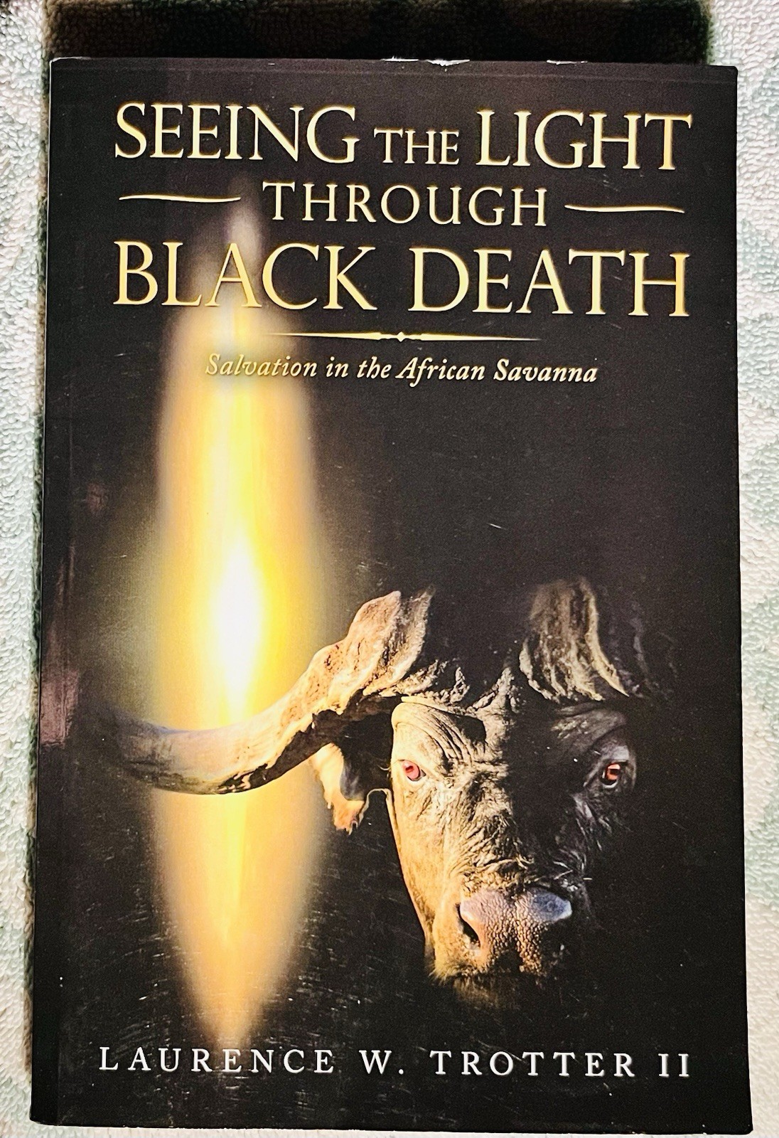Seeing the Light Through Black Death By II Trotter, Laurence W.
