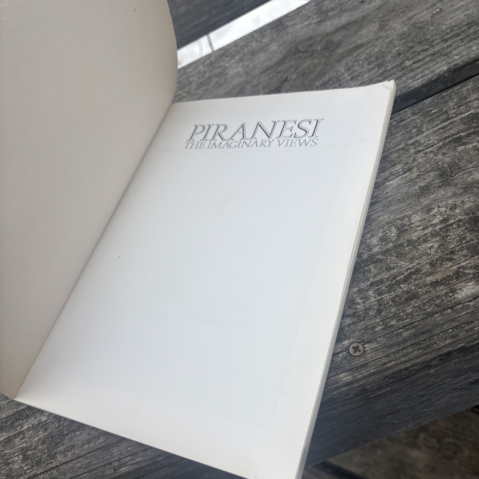 Piranesi : The Imaginary Views