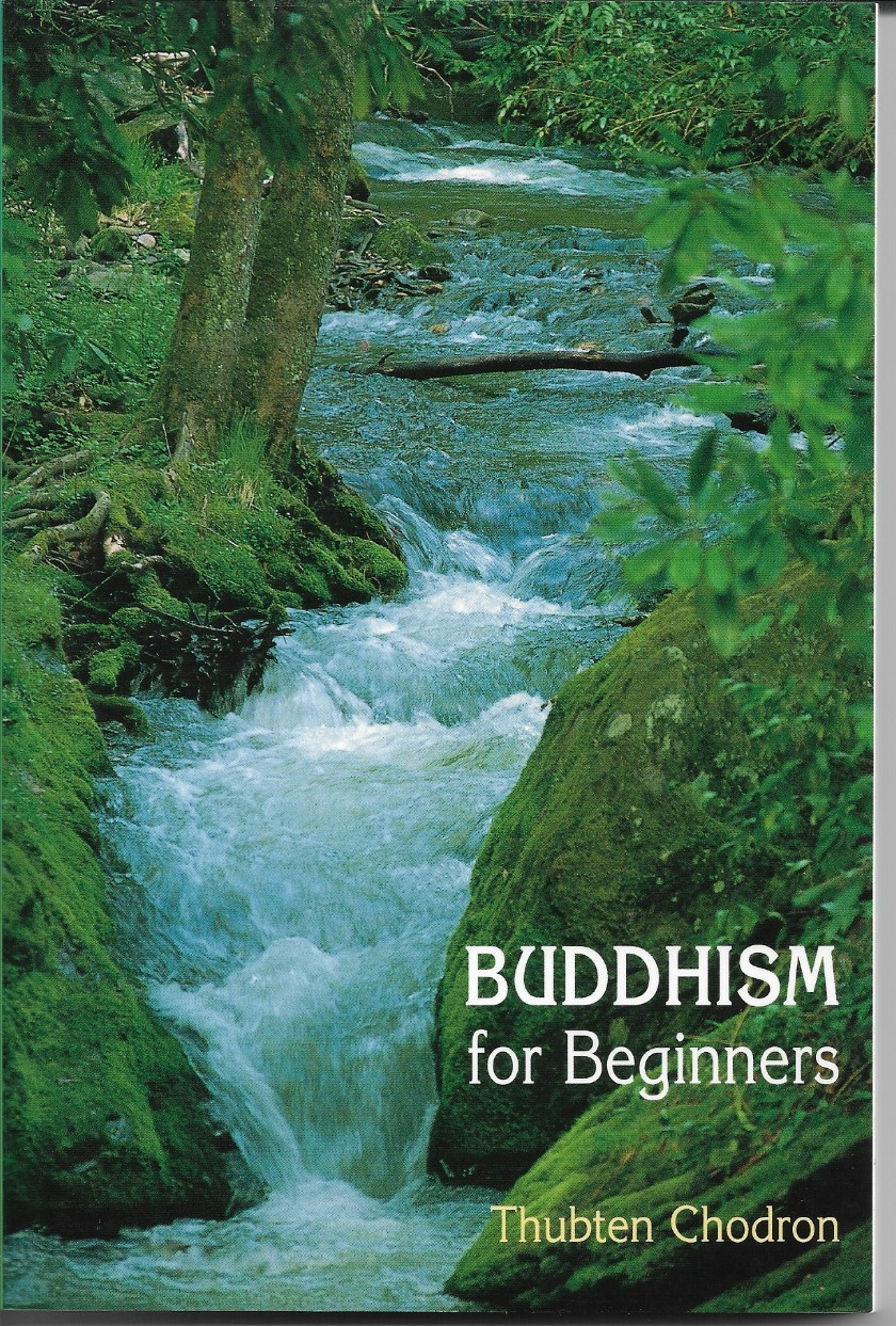Buddhism for Beginners – Paperback By Chodron, Thubten – bonus 45 page history