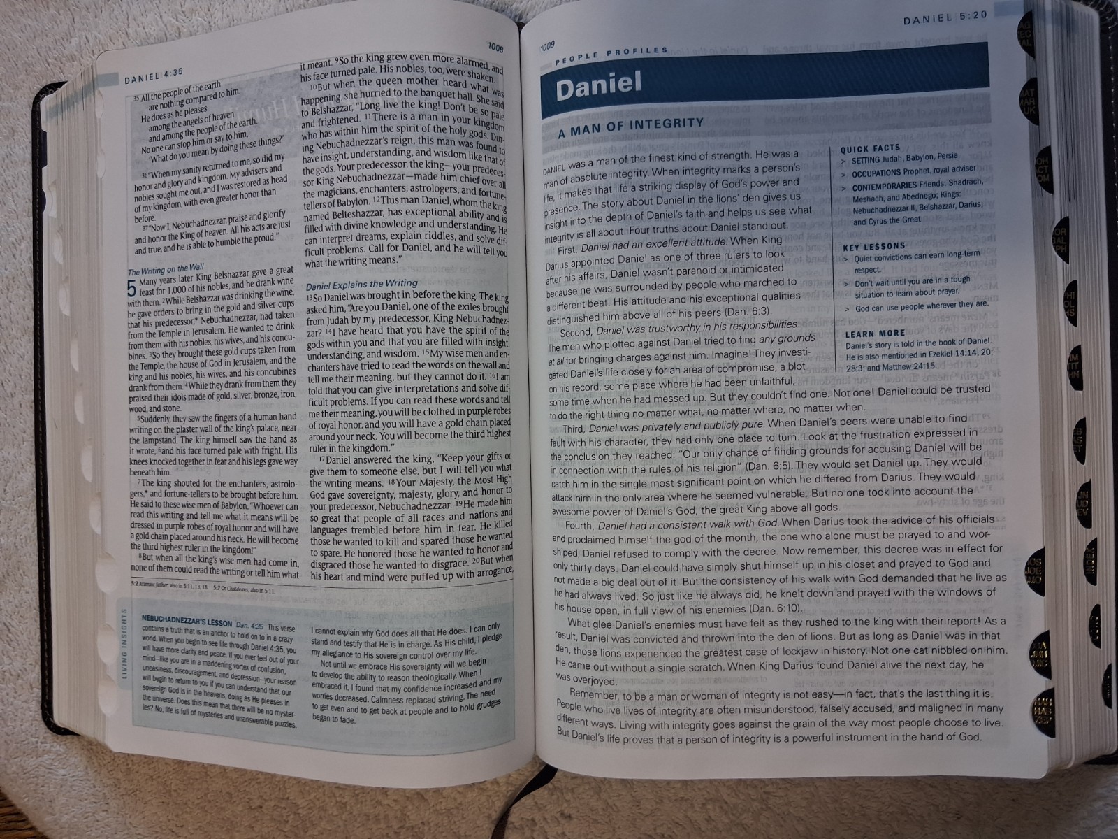 Tyndale NLT The Swindoll Study Bible TuTone (Leather Like, Brown/Tan) Indexed