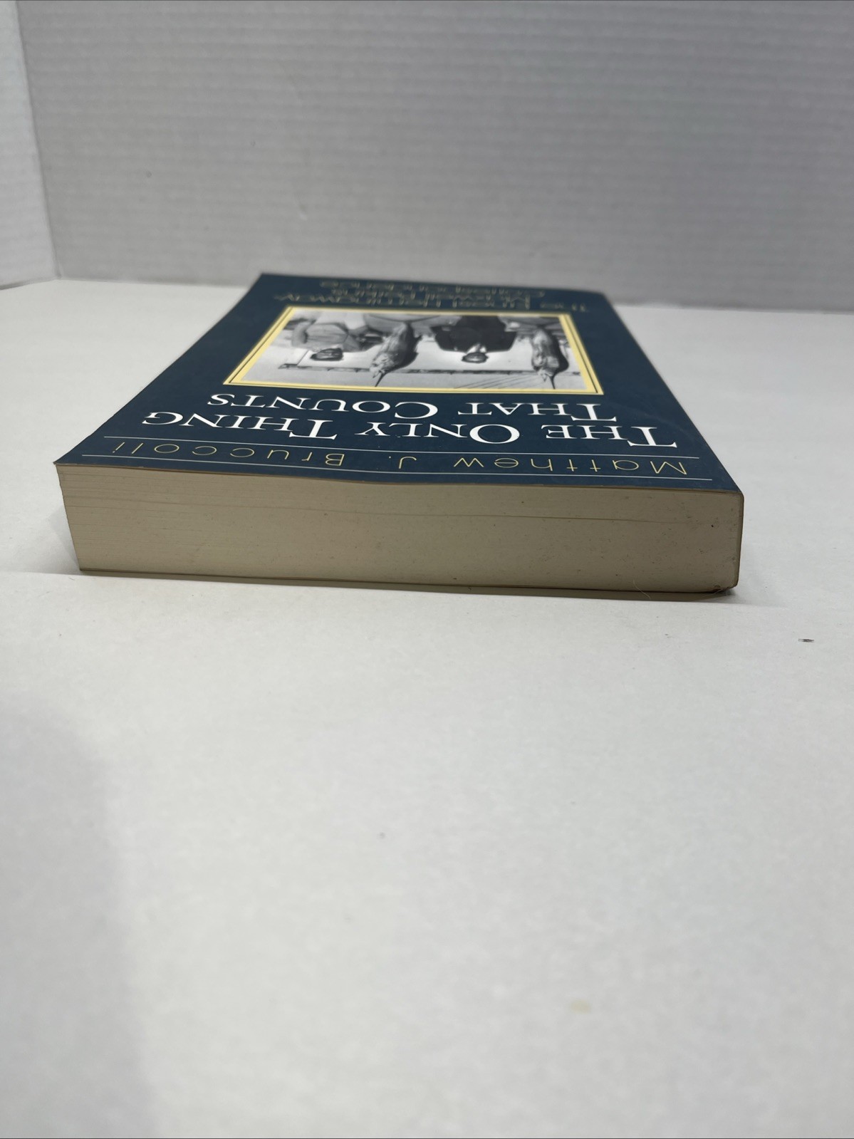 Matthew J. Bruccoli The Only Thing That Counts (Paperback)