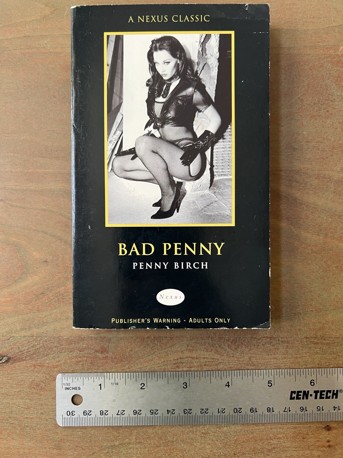 BAD PENNY (NEXUS) By Penny Birch