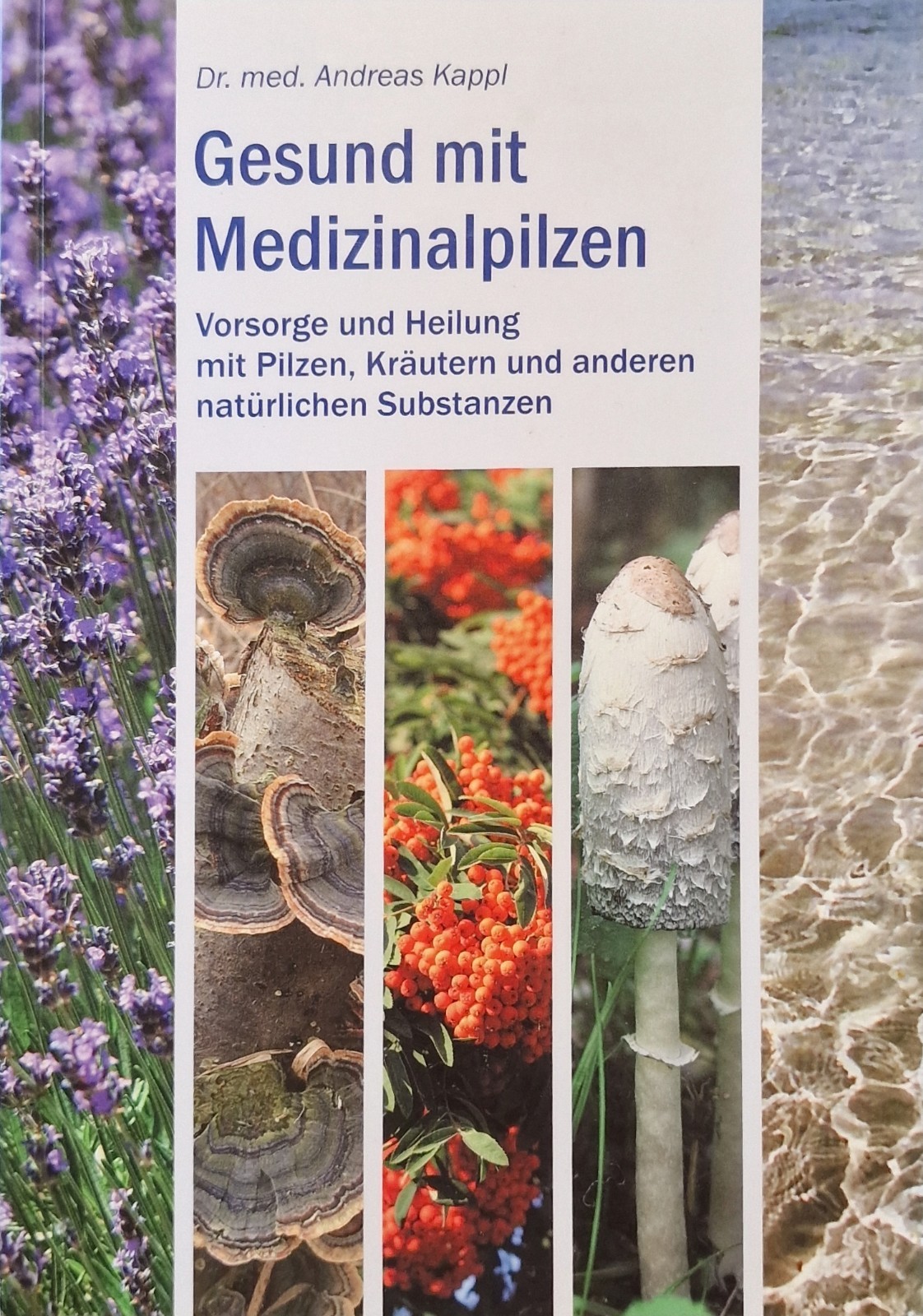 Gesund mit Medizinalpilzen: Vorsorge und Heilung mi… | Buch | Zustand gut