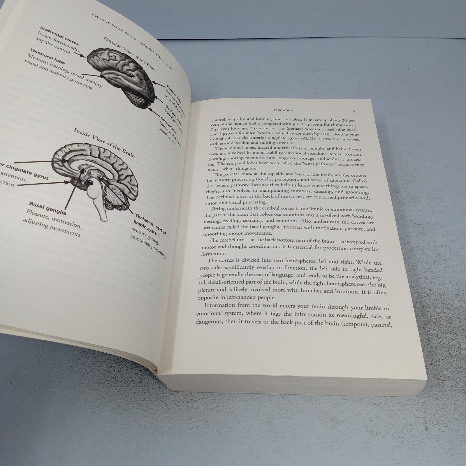 Change Your Brain, Change Your Life: 2016 Piatkus Paperback by Daniel G. Amen