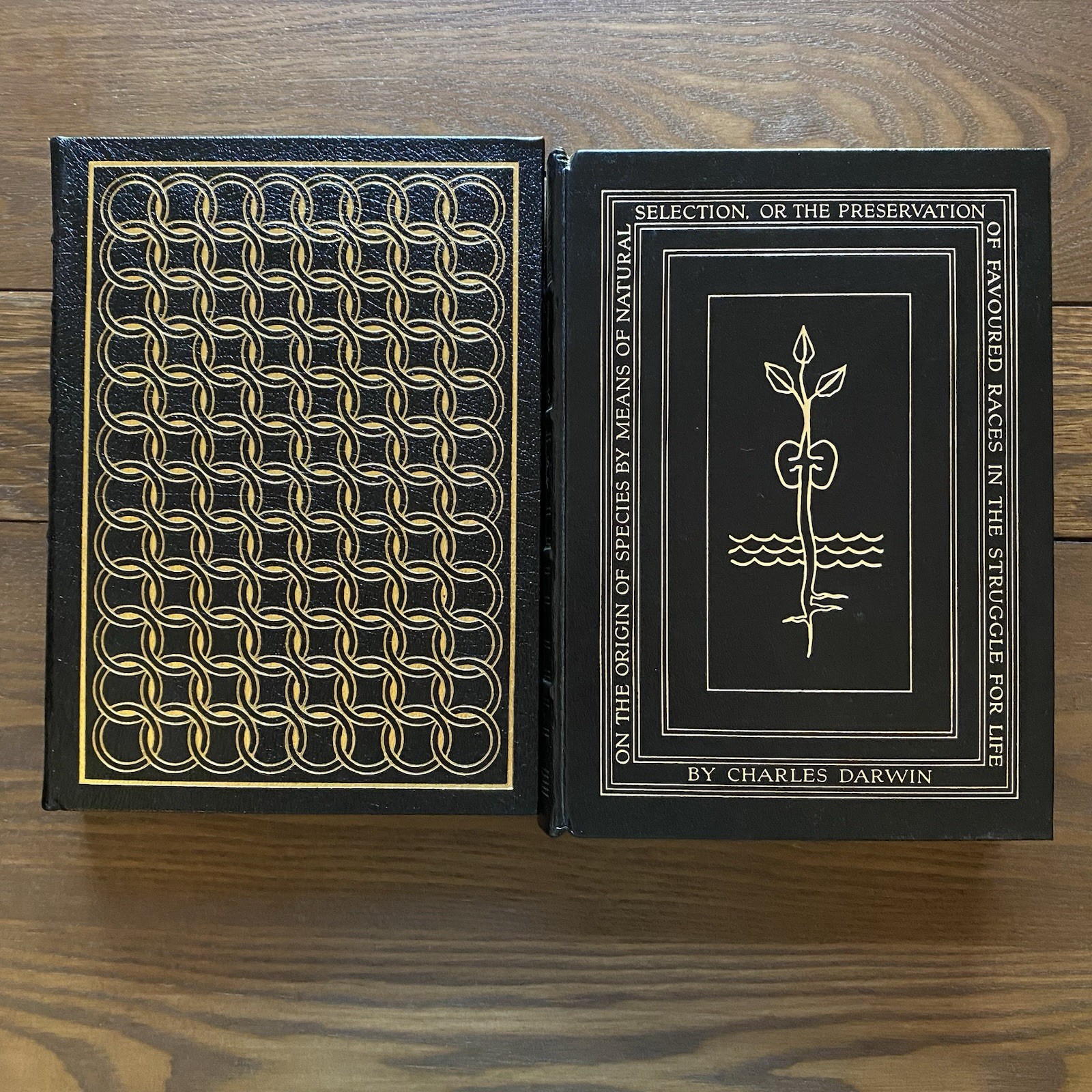 Easton Press Lot of 2 The Descent of Man & On The Origin of Species Darwin
