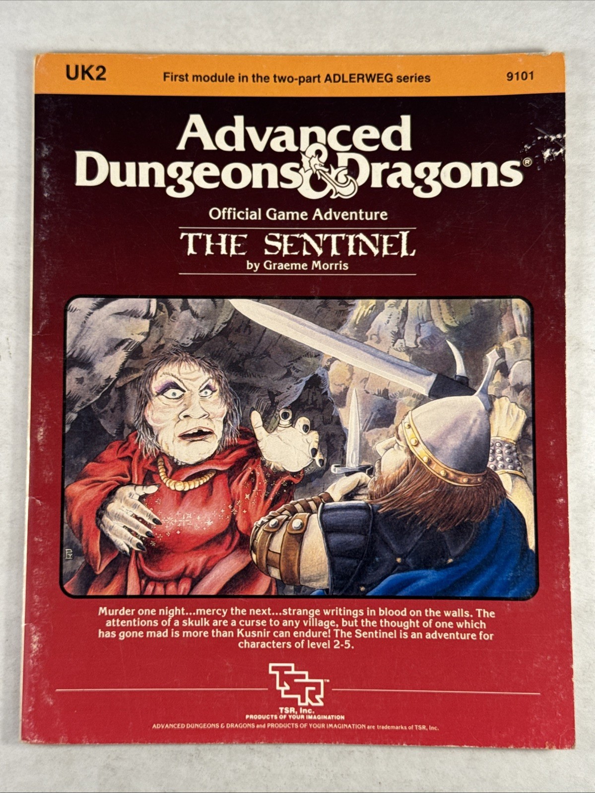 The Sentinel (Advanced Dungeons & Dragons module UK2) Graeme Morris AD&D (1e and