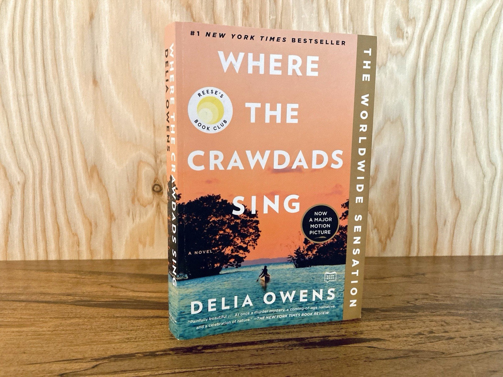 Where the Crawdads Sing: Reese’s Book Club by Delia Owens (Paperback)
