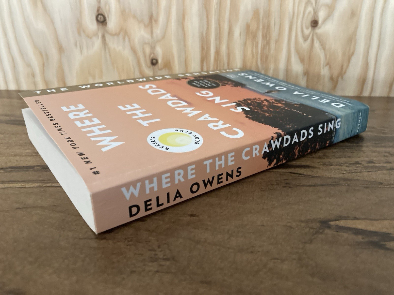 Where the Crawdads Sing: Reese’s Book Club by Delia Owens (Paperback)