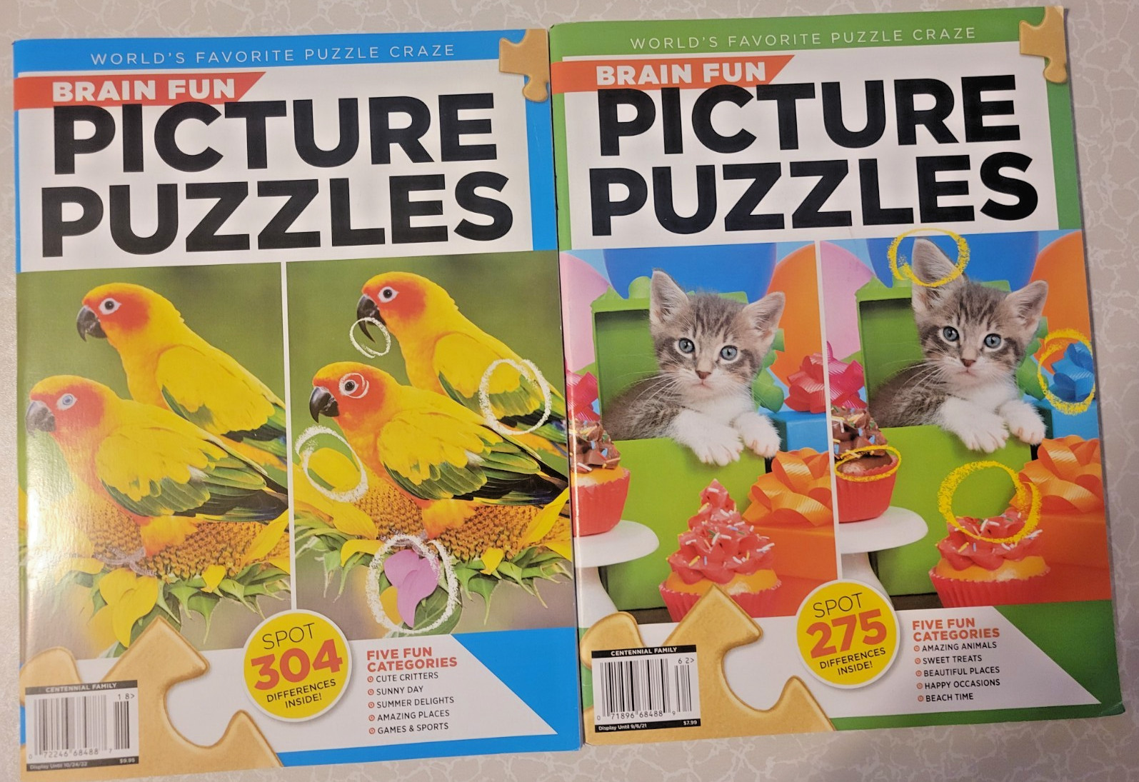 Brain Fun Picture Puzzles: Bundle of 2 – 63 Pages & 5 Categories of Fun In Each