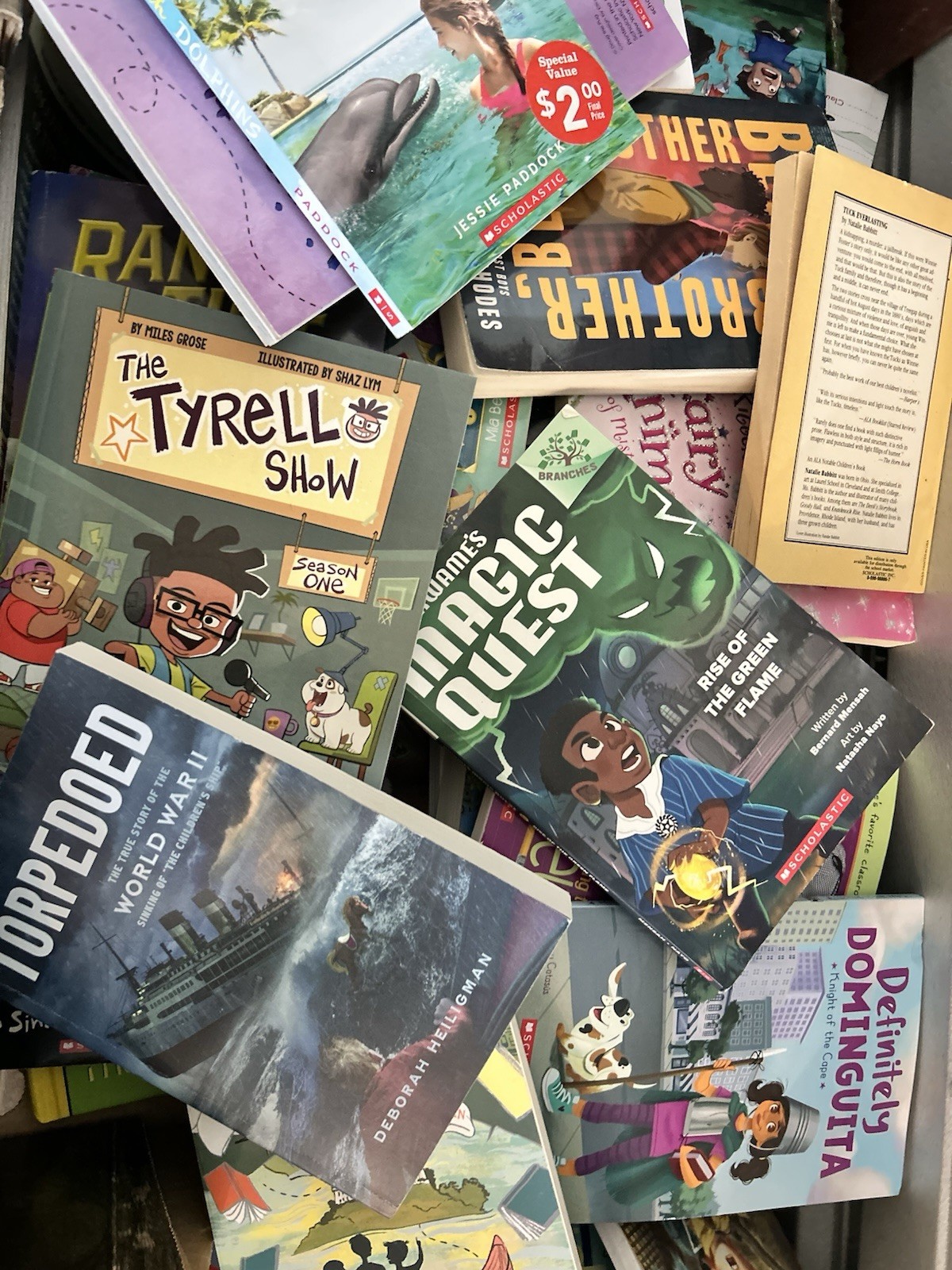 Lot of 26 of Children’s Kids Chapter Books – Random – Free Shipping!