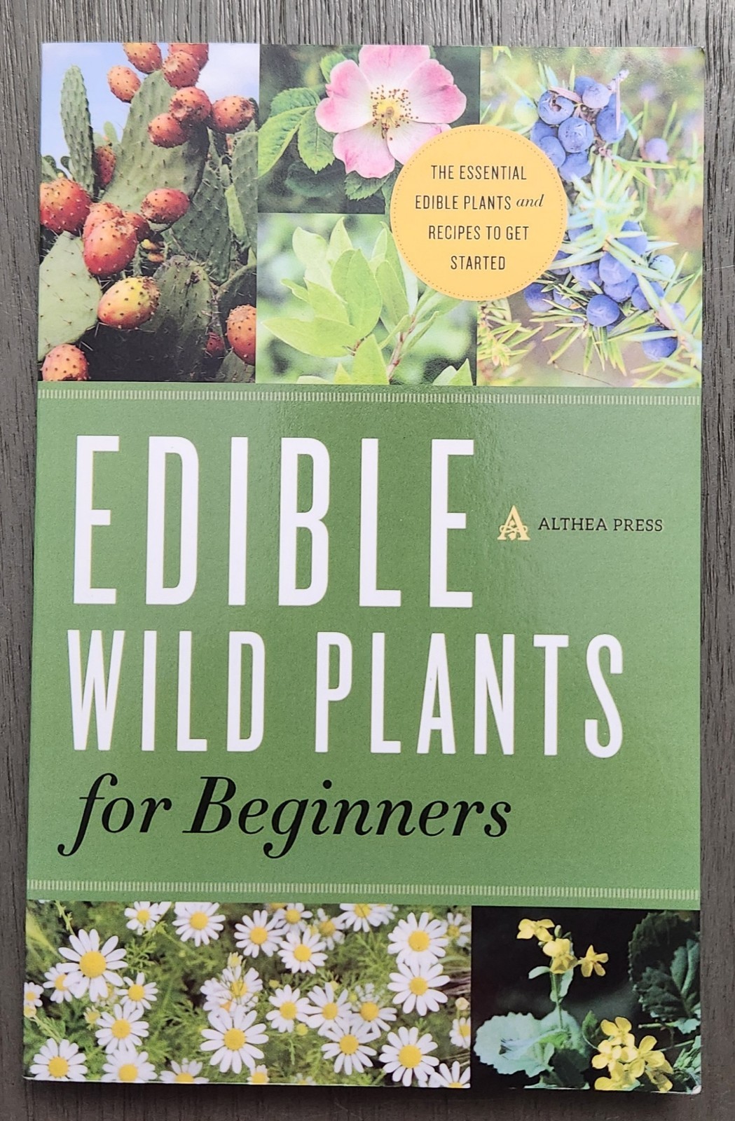 “Edible Wild Plants for Beginners” LIKE NEW paperback Althea Press 2013