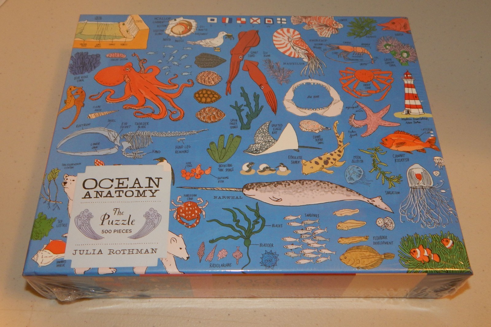 Ocean Anatomy THE PUZZLE 500 Pieces by Julia Rothman NIB SEALED 23 4/5″ X 19″