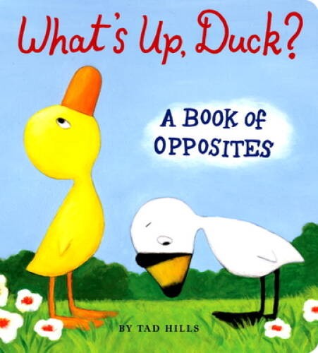What’s Up, Duck?: A Book of Opposites (Duck & Goose) – Board book – GOOD