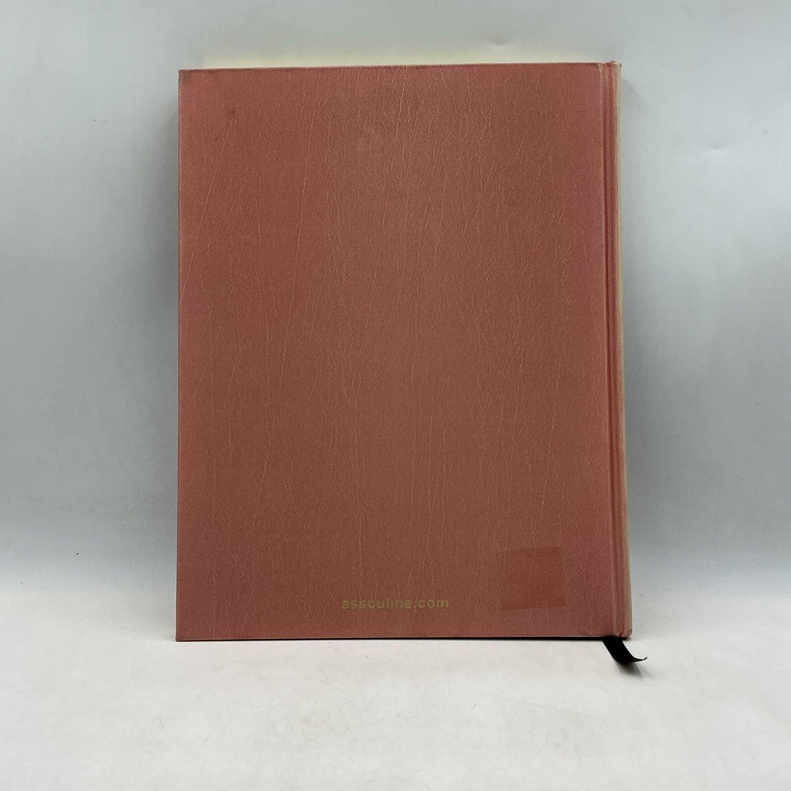 Dinner Diaries Daniel Cappello 2014 Hardcover Pink Stone Publishing Book