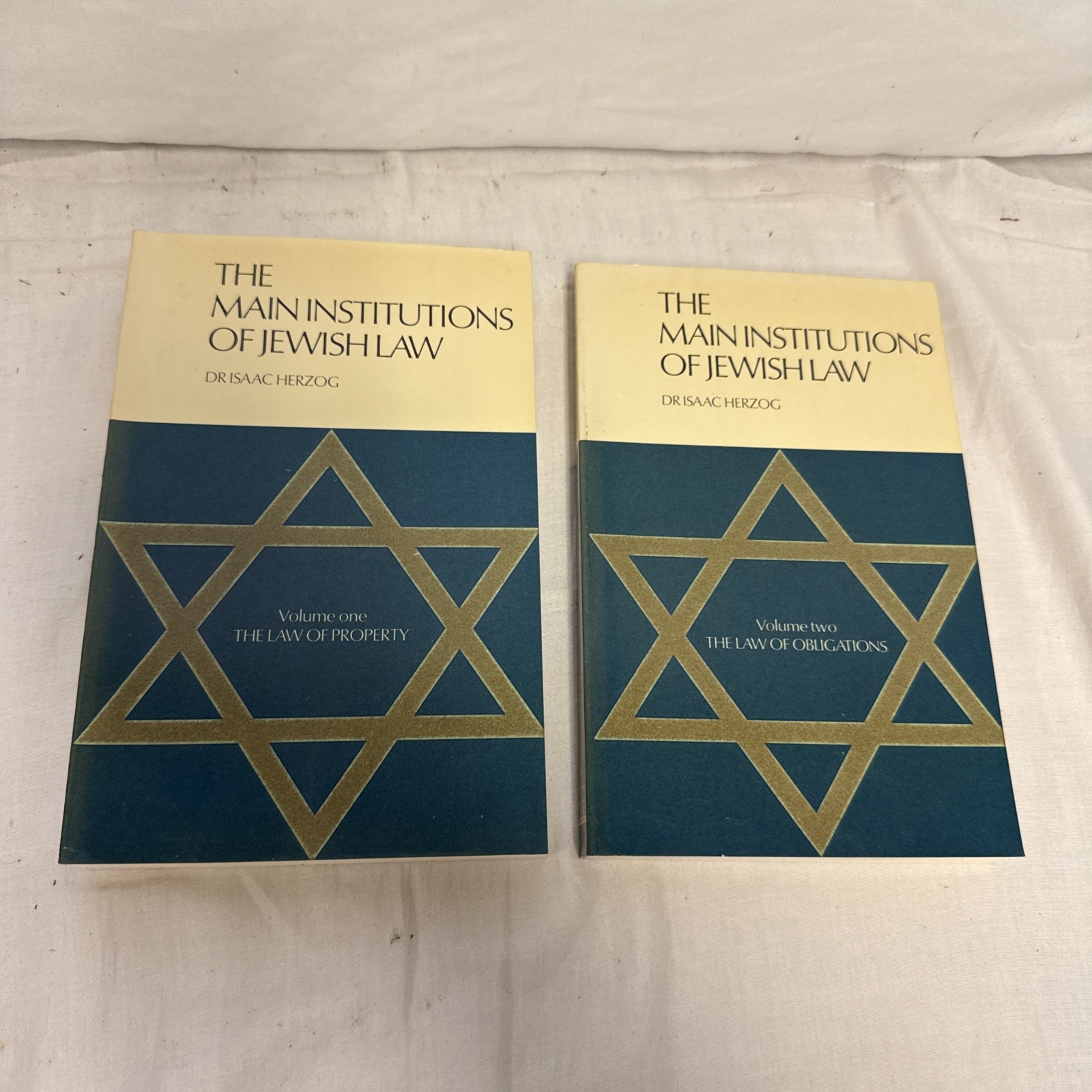 The Main Institutions of Jewish Law An Informative Guide to the Foundations and