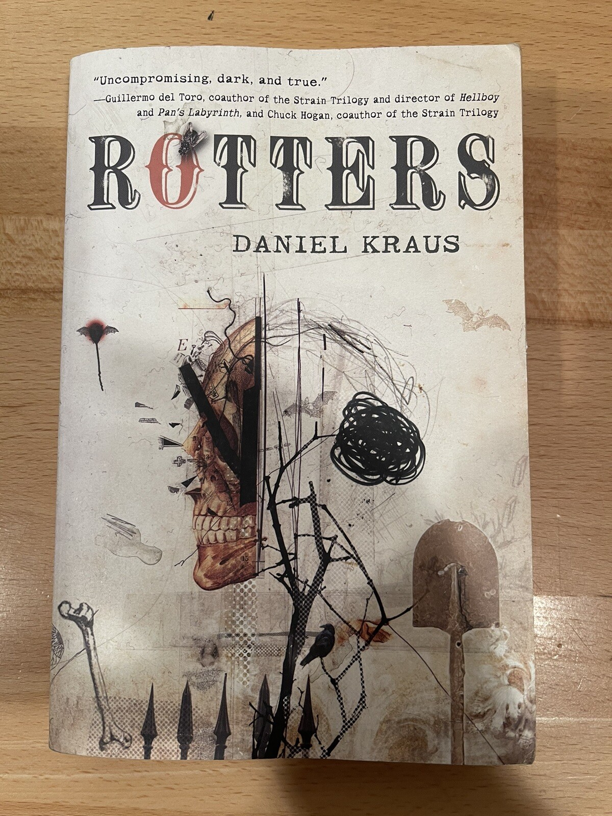 Rotters by Daniel Kraus (2012, Trade Paperback)