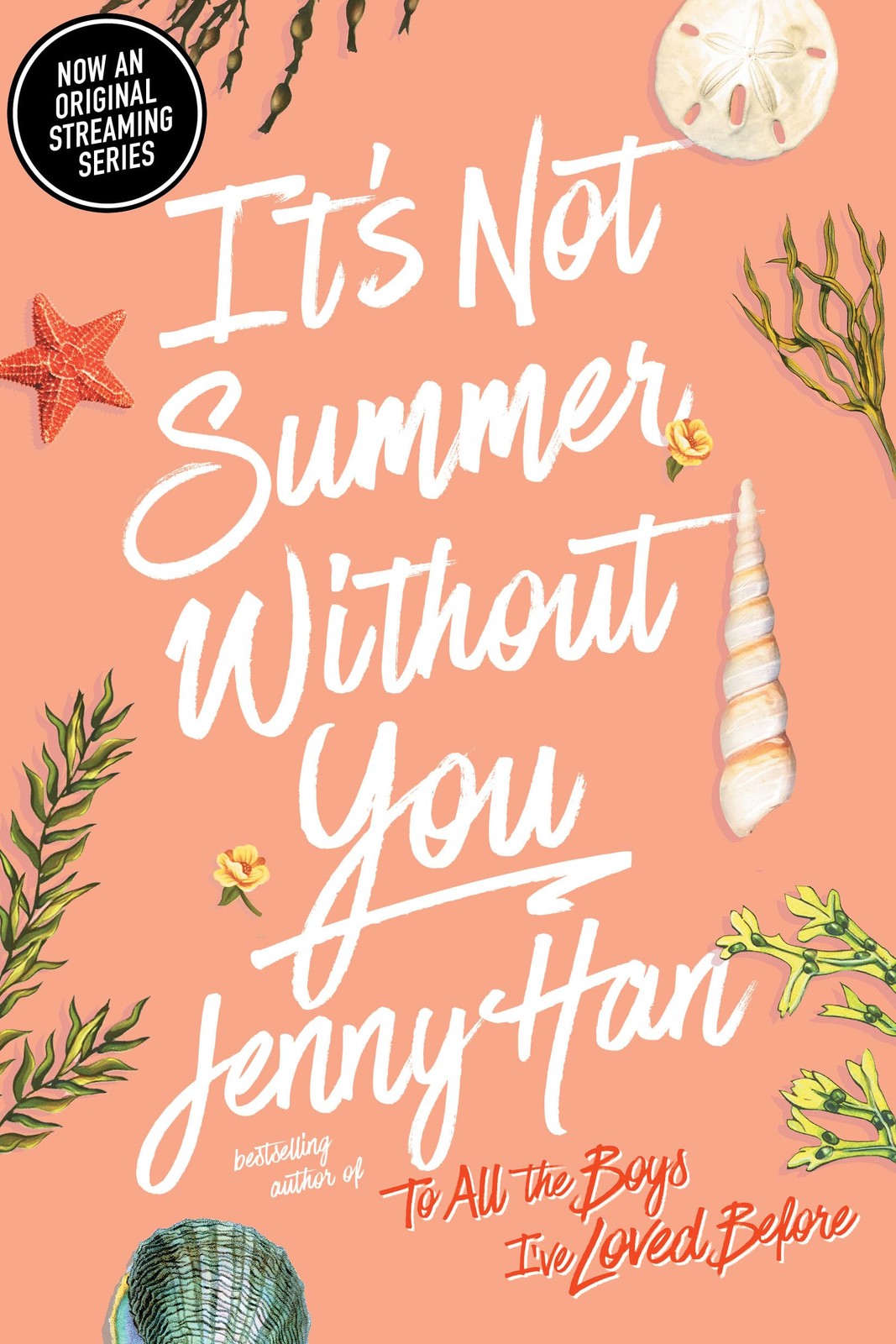 It’s Not Summer Without You, Han, Jenny, Excellent Book