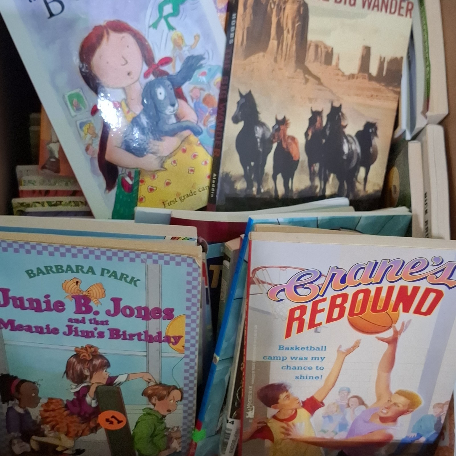 Chapter Books Bundle kids young Instant library Paperback Lot of 25