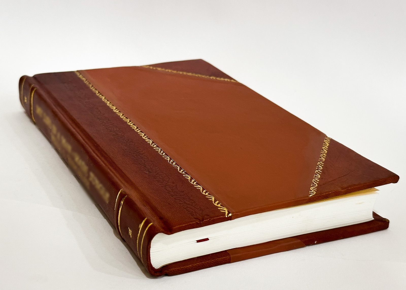 Growing Crops & Plants by Electricity. Explaining What Has Been [Leather Bound]