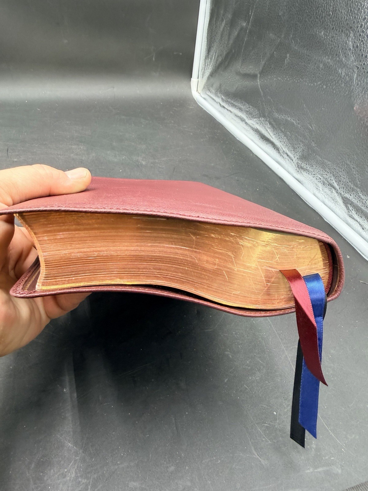 NASB, Single-Column Reference Bible, Wide Margin, Premium Goatskin Leather,…