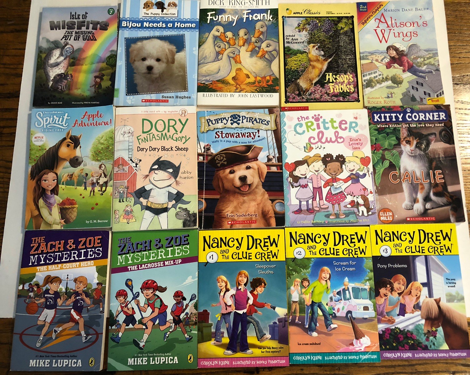 Lot Of 15 Chapter Books Girls Interest Grades 1st-3rd