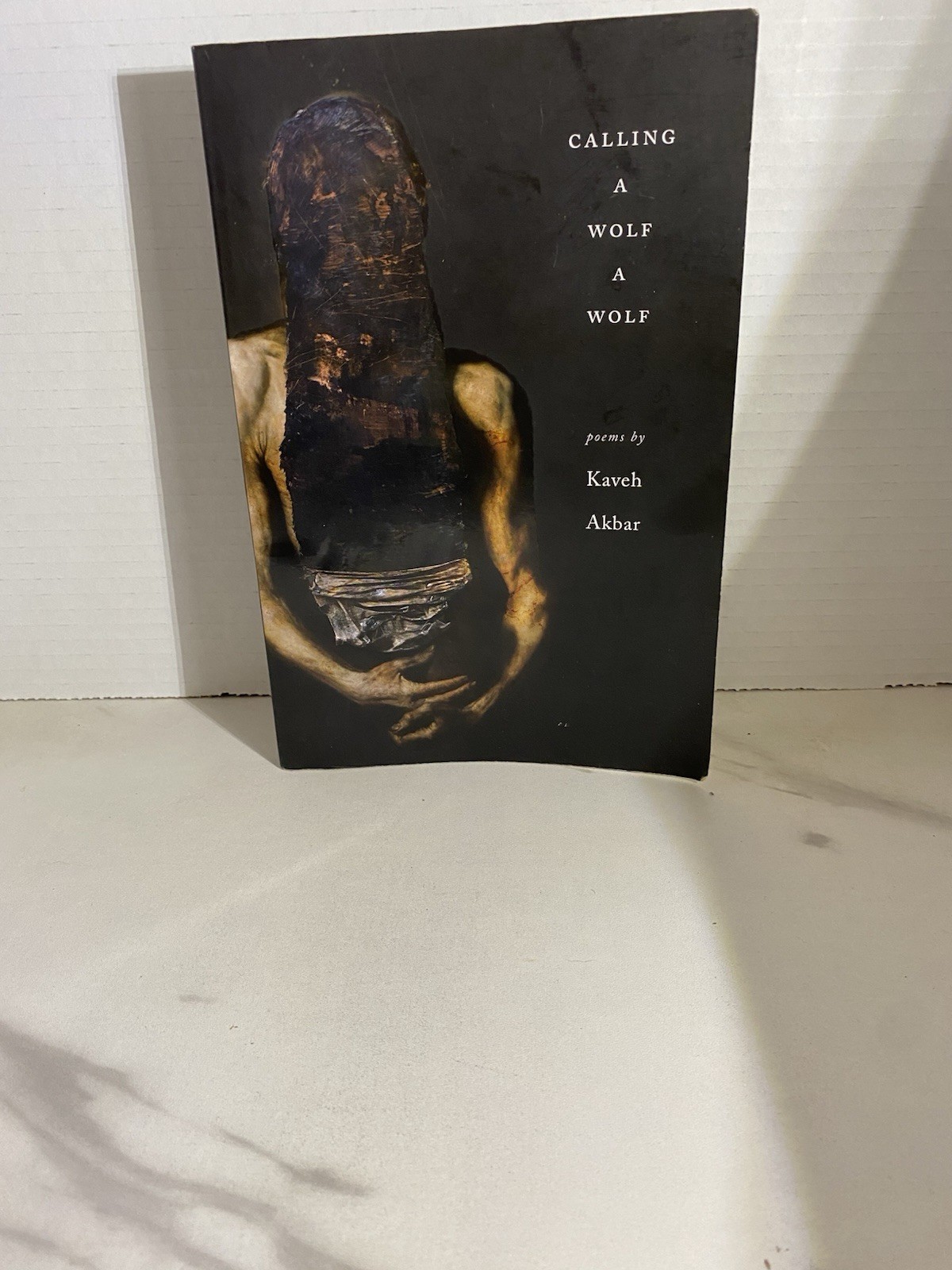 Calling a Wolf a Wolf by Kaveh Akbar (2017, Trade Paperback)