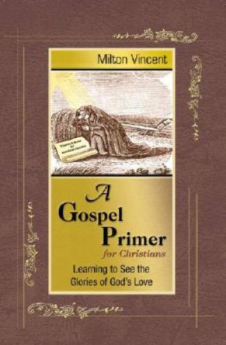 A Gospel Primer for Christians: Learning to See the Glories o – VERY GOOD