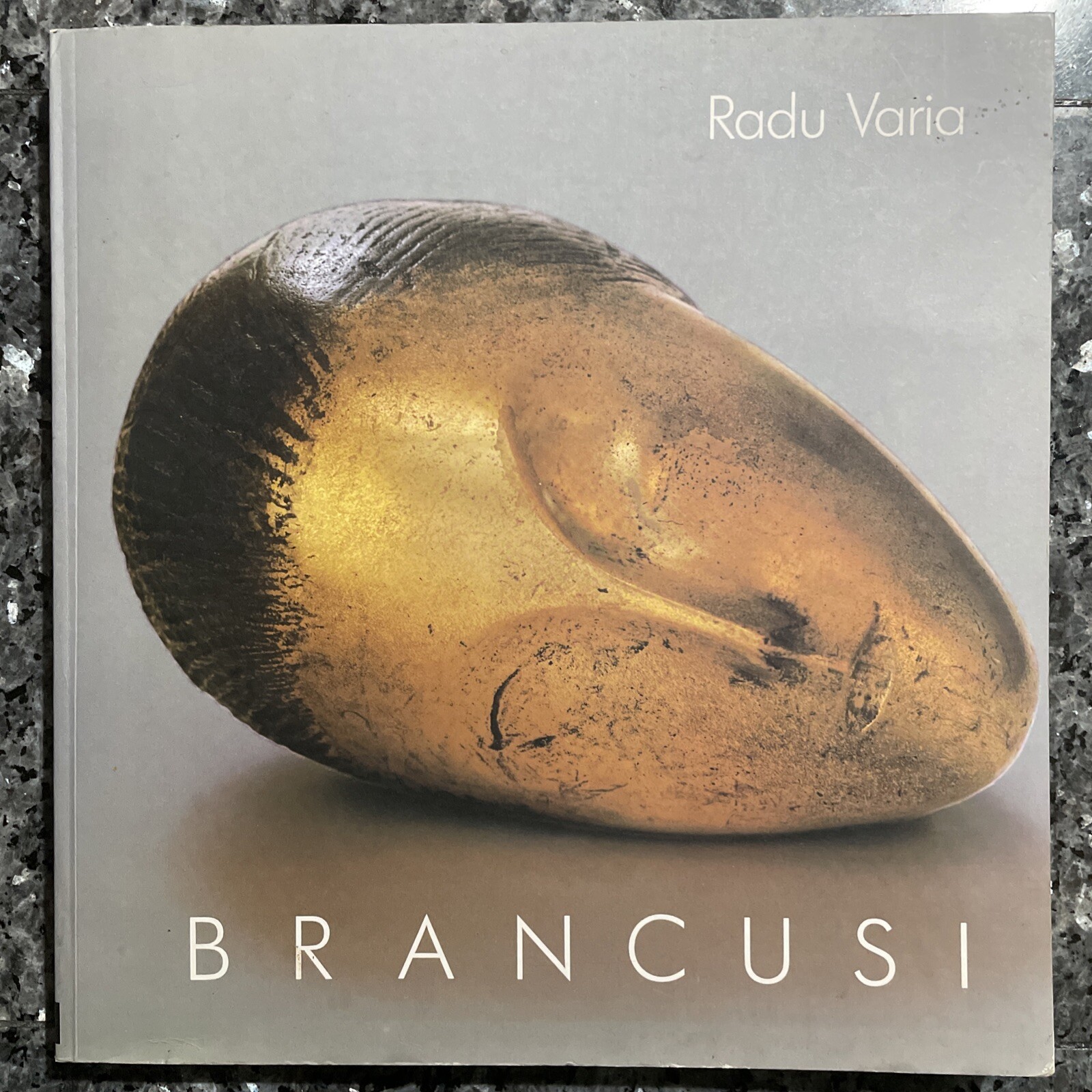 Brancusi by Radu Varia Sculptor Sculpture Universe Paperback 1995