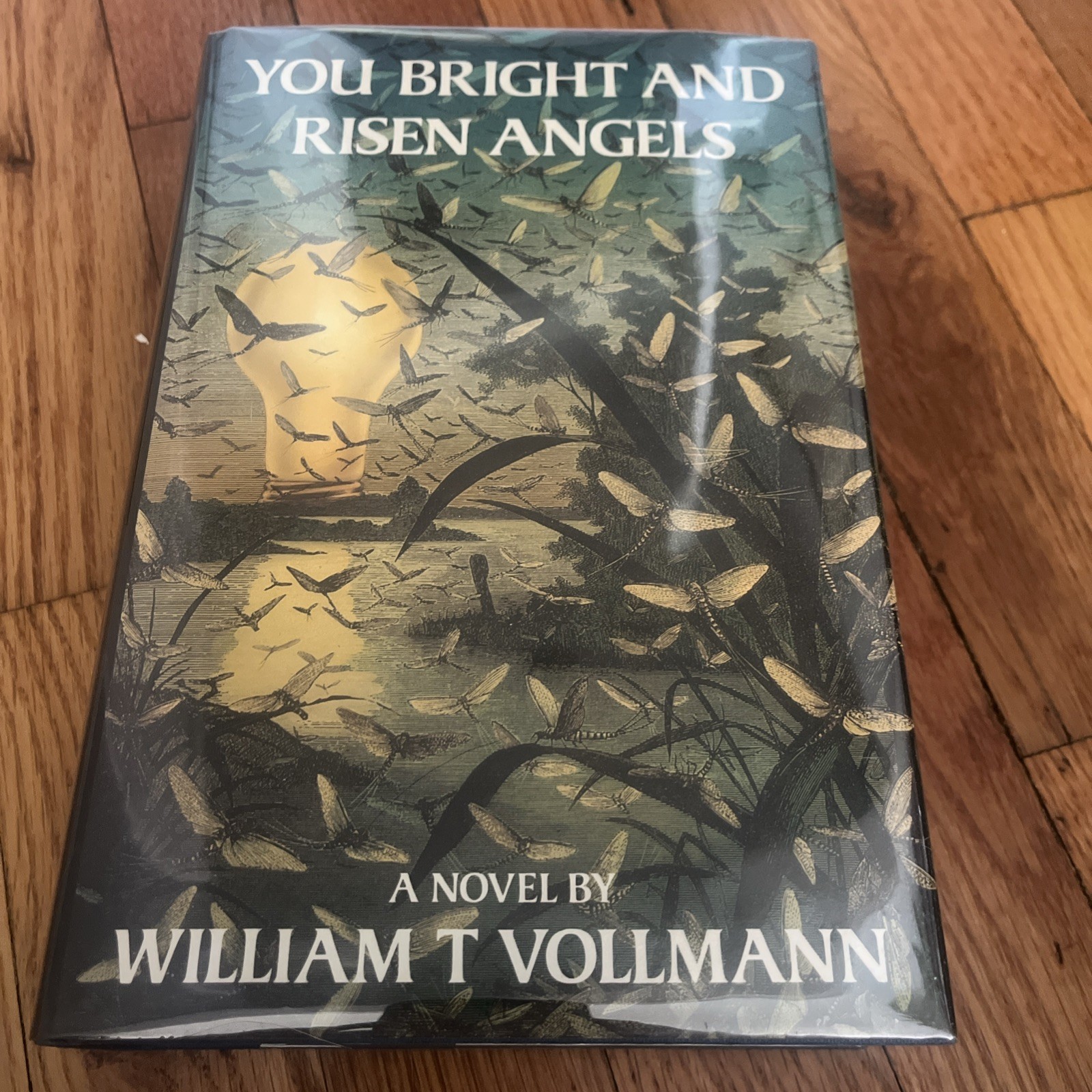 YOU BRIGHT AND RISEN ANGELS – SIGNED FIRST EDITION BY WILLIAM T. VOLLMANN