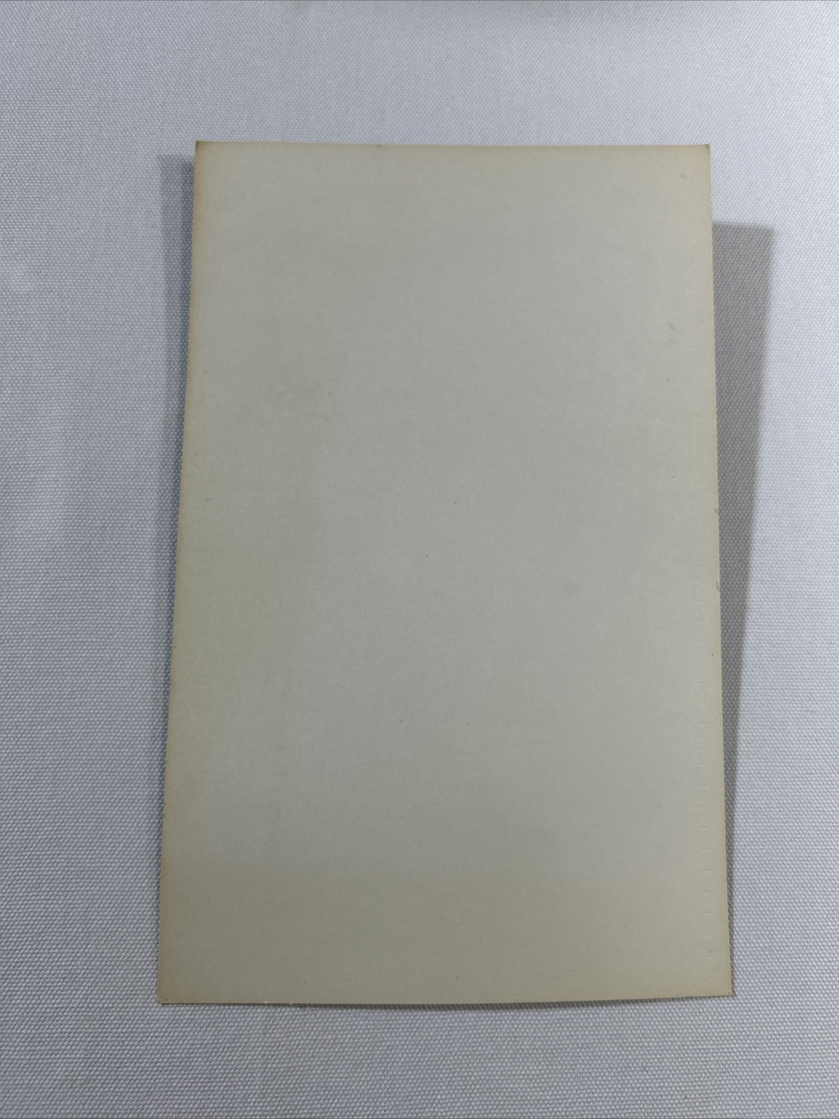 TESTORS Model Building And Finishing Guide 1989 Rate AD Card