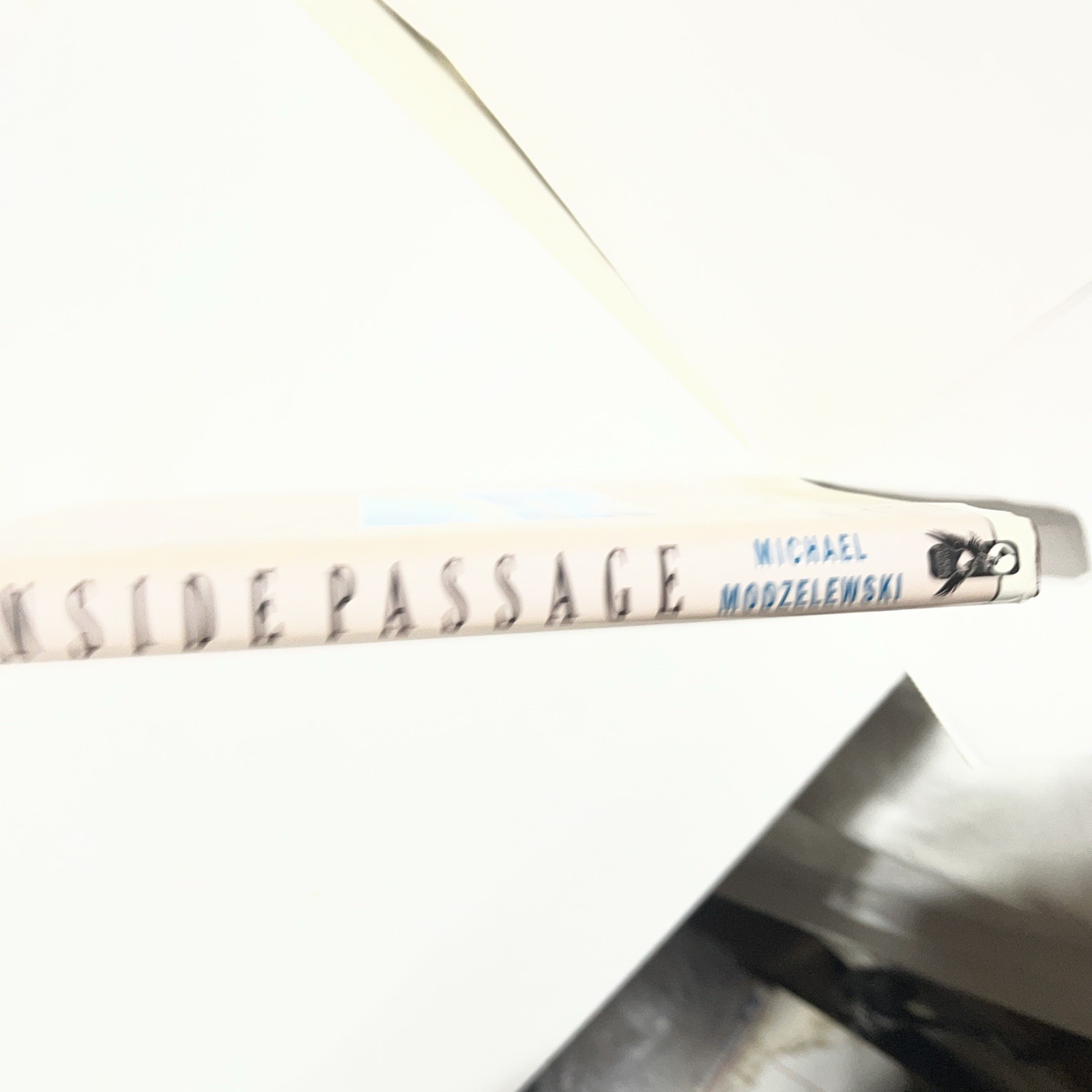INSIDE PASSAGE MICHAEL MODZELEWSKI HD SIGNED Very Goood Cond. 7 Th Edition A3