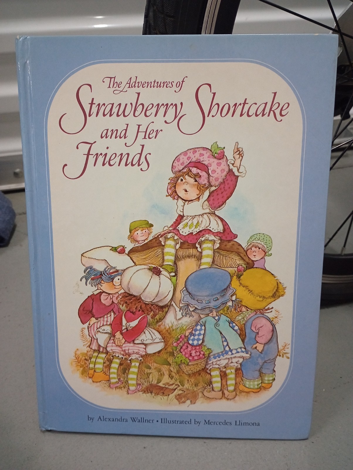 The Adventures of Strawberry Shortcake and Her Friends (Random House, 1980) Book