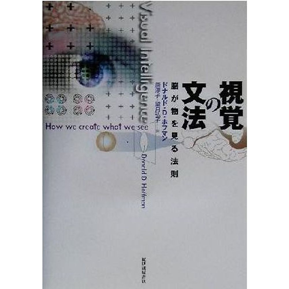 Visual Grammar: The Law Brain Sees Things Donald D. Hoffman (Author) Hara Used 2