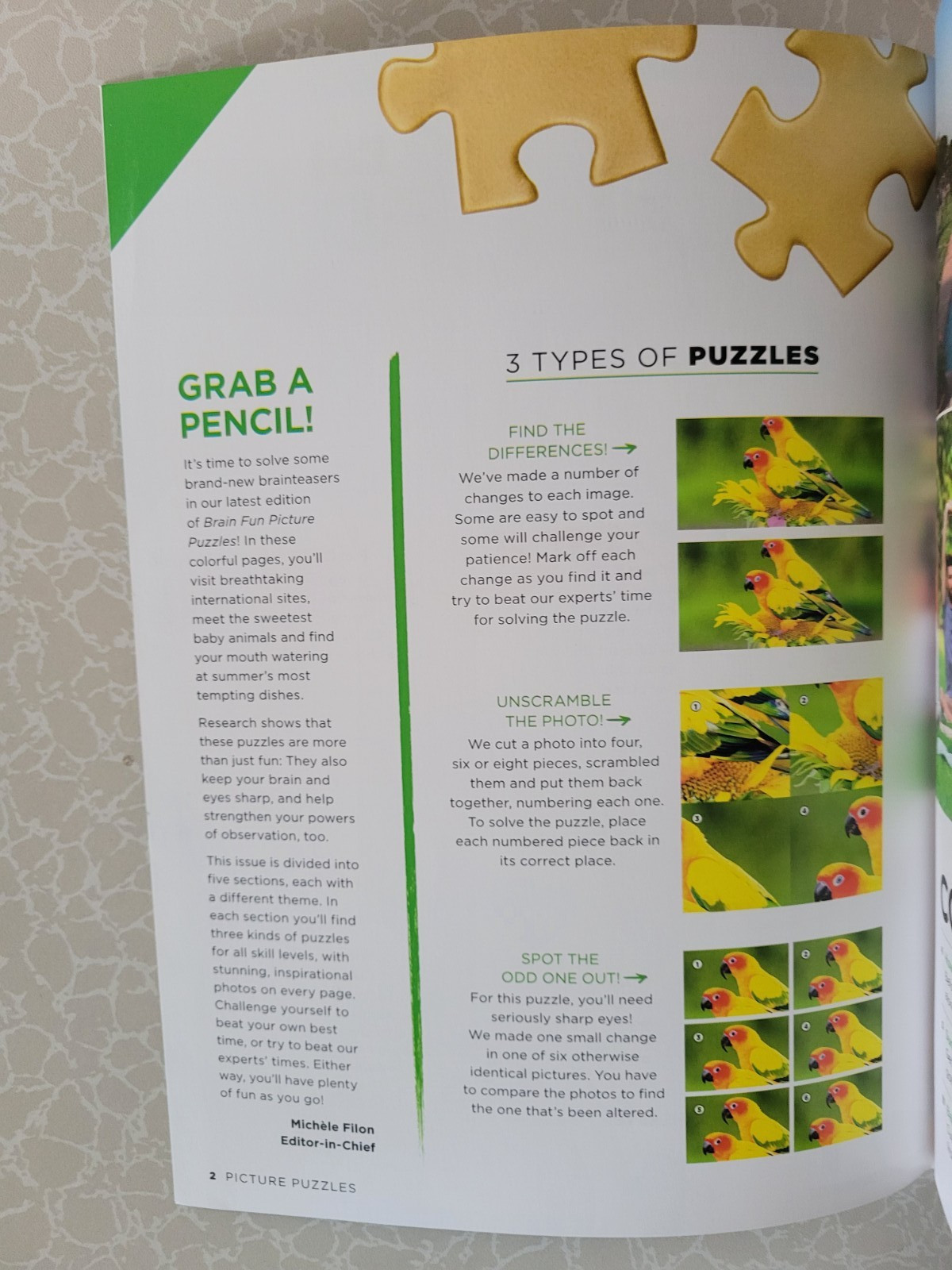 Brain Fun Picture Puzzles: Bundle of 2 – 63 Pages & 5 Categories of Fun In Each