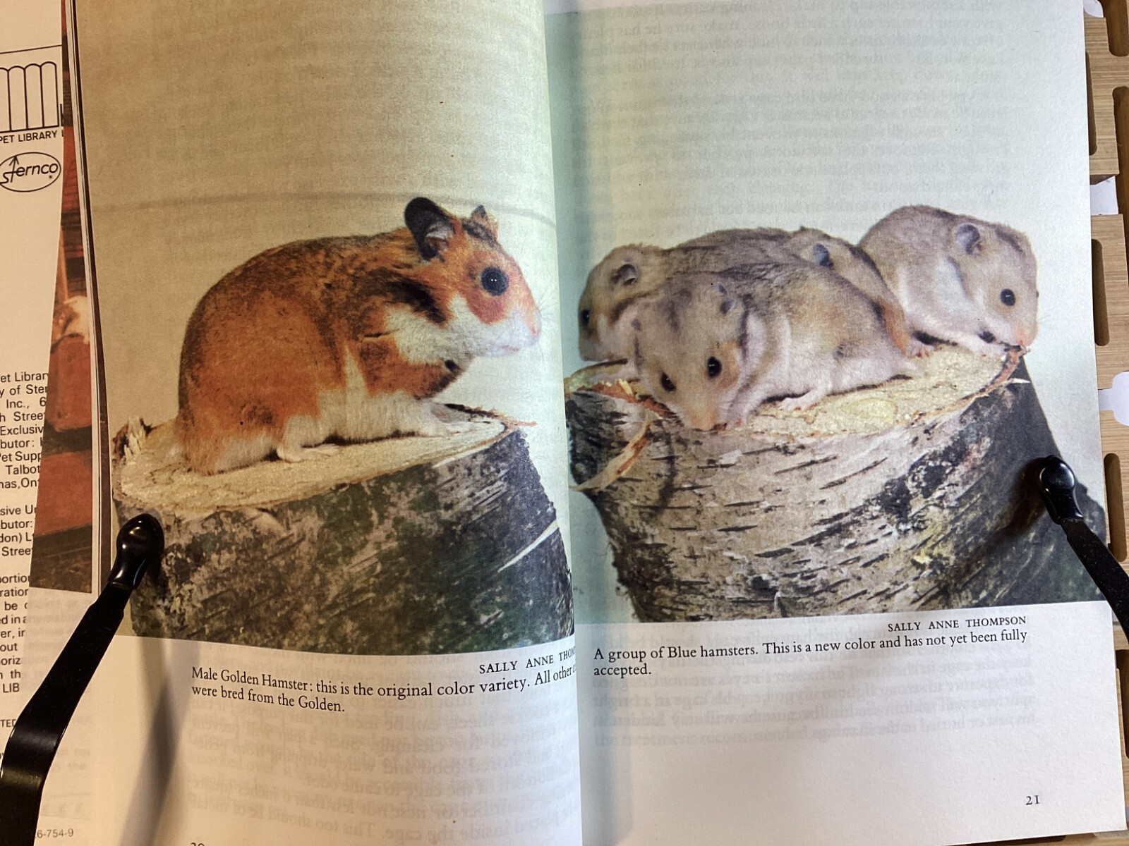 Know Your Hamster – Earl Schneider – 64 Pages -Pet Library No 754 -Free Shipping