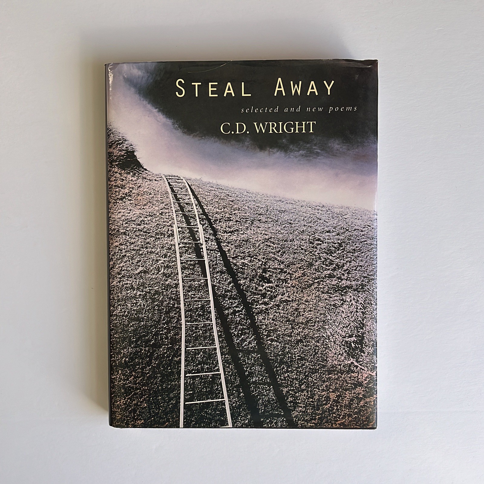 Steal Away: Selected and New Poems, C.D. Wright. 1st printing, signed. 2002.