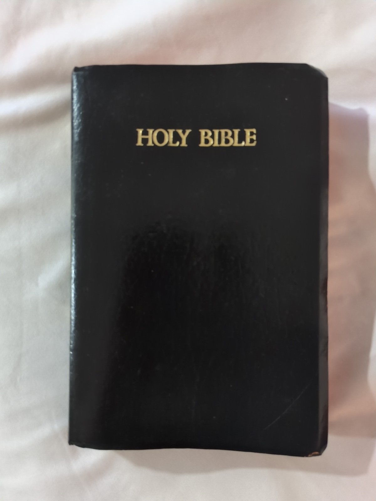 Vintage 1982 Holy Bible King James Version KJV Black Red Letter Study Dictionary
