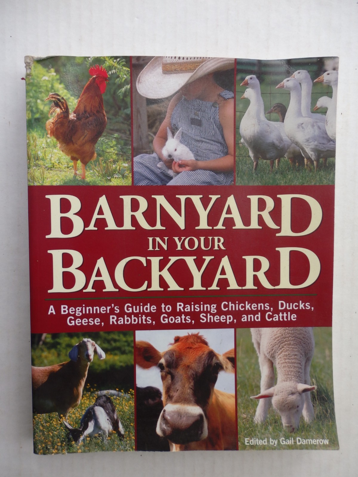 Barnyard in Your Backyard; Raising Chickens, Ducks, Rabbits, Goats+ 2002 SC