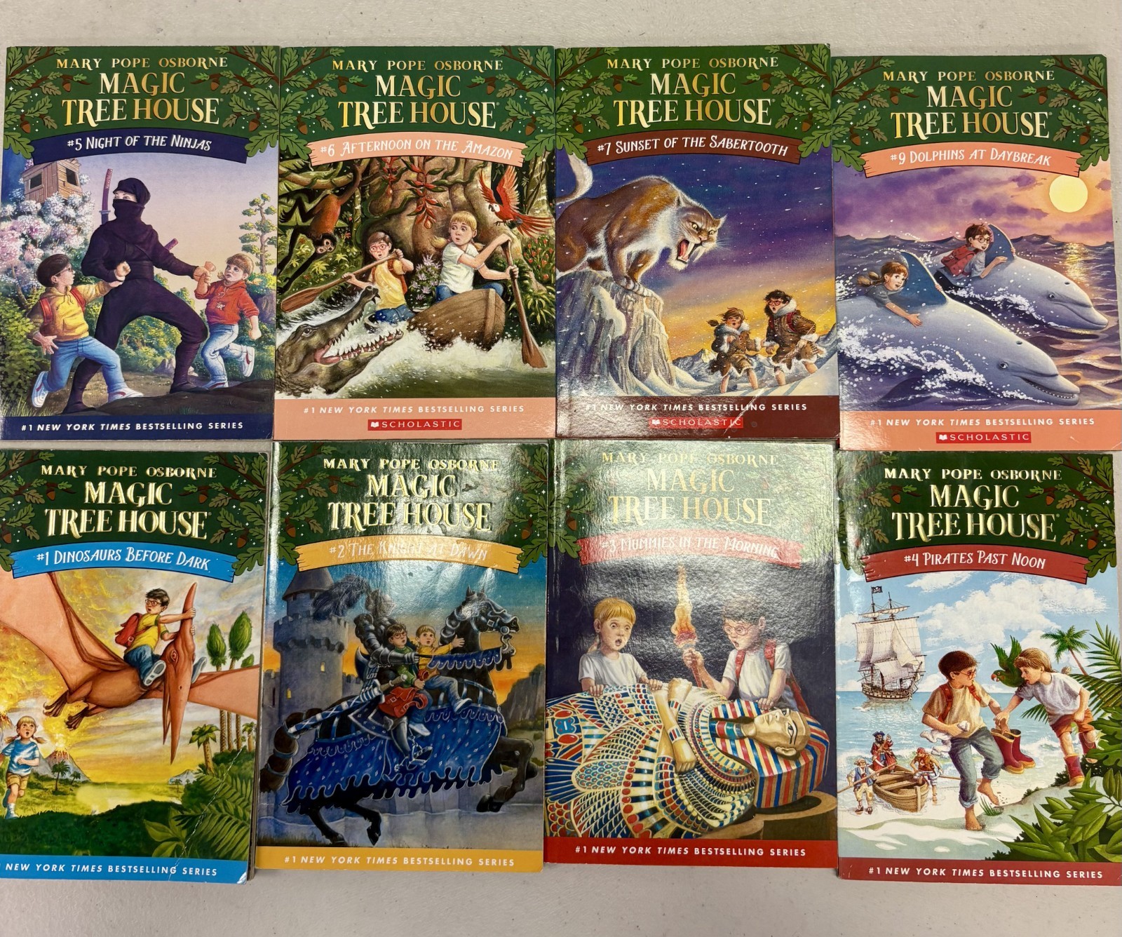 Magic Tree House Books Set of 22
