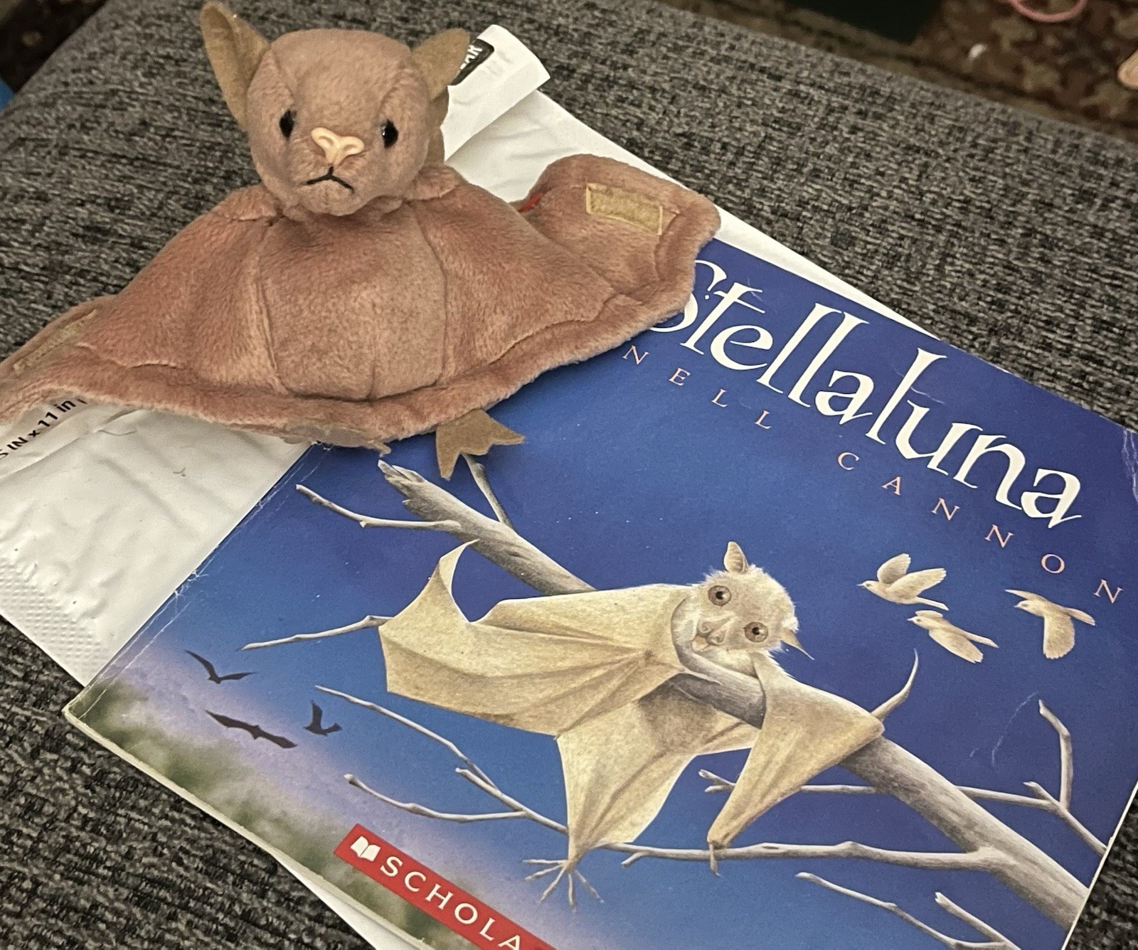 Stellaluna by Janell Cannon Illustrated Paperback Picture Book (Scholastic)