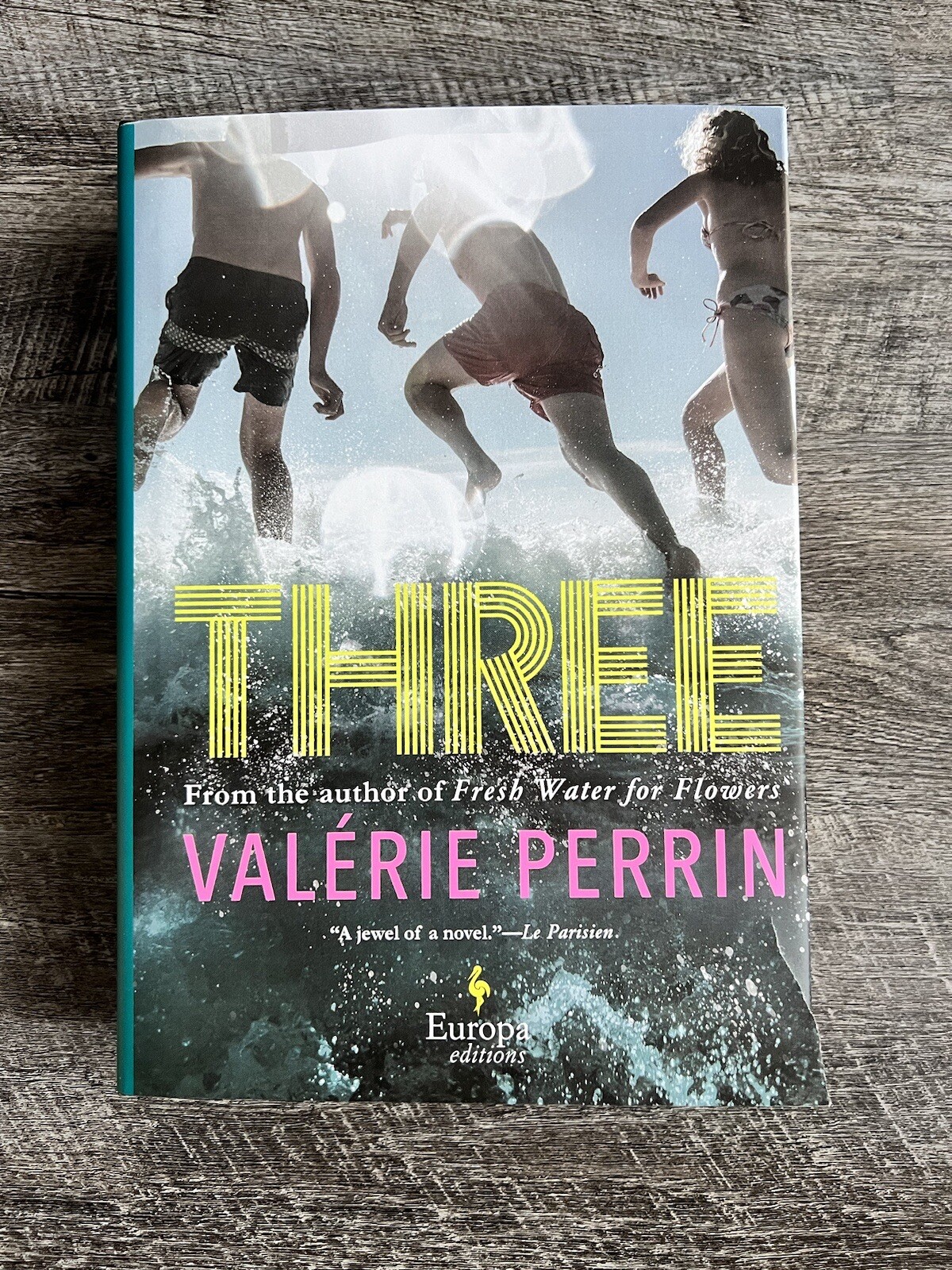 Three By Valérie Perrin ✨ NEW 1st Edition Hardcover ✨
